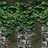Ivy Wall Game Texture, mygirlgames.com